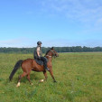 rencontre photo de Cheval01