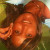 Rencontrer Femme montereau Fatsouss77