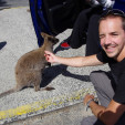 rencontre photo de Crapuldor