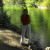 Rencontrer Femme condezaygues Adriana47500