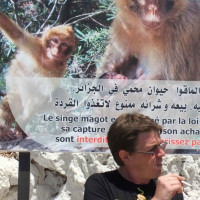 photo de Tonyziano