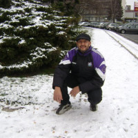 photo de Baracouda