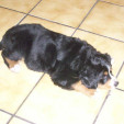 rencontre photo de Nours67