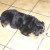 Rencontrer Homme oberhaslach Nours67