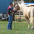 Rencontrer Homme aschbach JOLECOWBOY