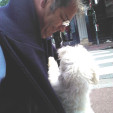 rencontre photo de Francois78110