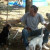 Rencontrer Homme lampertsloch Pepedamor67