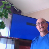 photo de Epervier