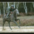 Rencontrer Homme jarzé Jpascal49