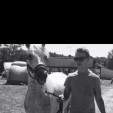 rencontre photo de Joseph