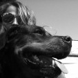rencontre photo de Lilibellule1