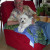 Rencontrer Homme clermont-en-argonne Dede88