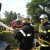 Rencontrer Homme saint-sulpice-les-bois Toulouse19