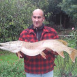 rencontre photo de Chauve85