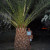 Rencontrer Femme seraing Muriellenaers