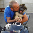 rencontre photo de Gsx1400