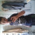 Rencontrer Homme monein Bryan64