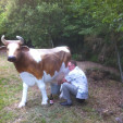 rencontre photo de Patichou
