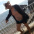 Rencontrer Homme suippes Menottes