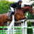 Rencontrer Homme neuvy-au-houlme Tristan11