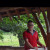 Rencontrer Homme saint-sauveur Valentinfabry