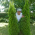 Rencontrer Homme le merzer Kerprat