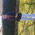 Rencontrer Homme Étagnac Anthony16