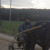Rencontrer Homme tiercé Letroteur