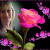 Rencontrer Femme langres Brigitte52
