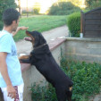 rencontre photo de Bogosse67